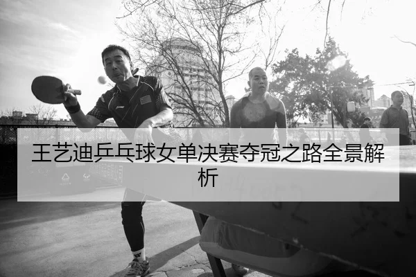 王艺迪乒乓球女单决赛夺冠之路全景解析