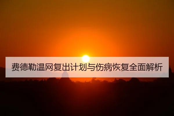 fei-de-lei-wen-wang-fu-chu-ji-hua-yu-shang-bing-hui-fu-quan-mian-jie-xi-1-377.jpg