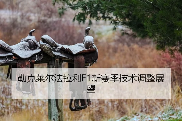 lei-ke-lai-er-fa-la-li-xin-sai-ji-ji-shu-tiao-zheng-zhan-wang-1-382.jpg